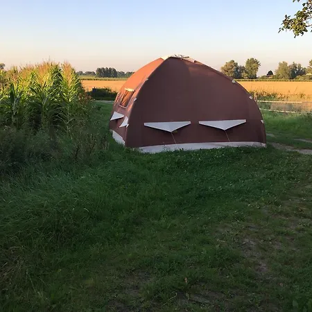 In The Middle Of Green Nowhere