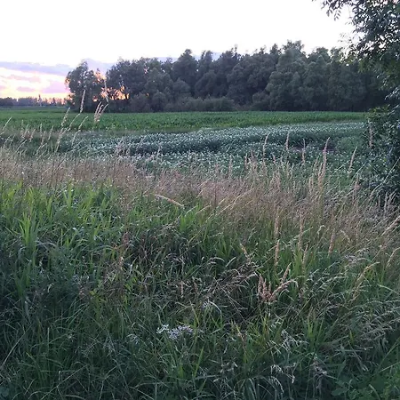 In The Middle Of Green Nowhere *