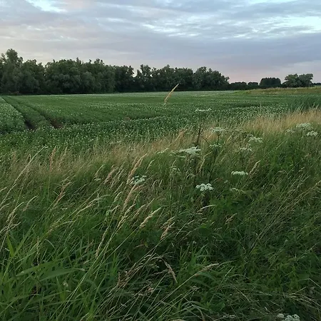 In The Middle Of Green Nowhere