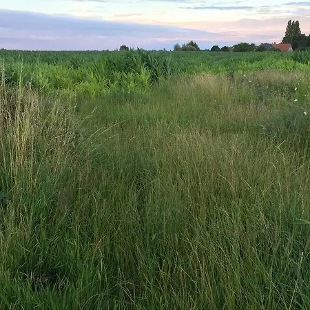 In The Middle Of Green Nowhere אוהל מפואר *